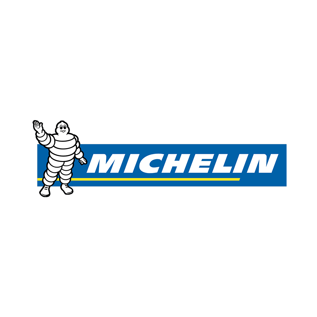 Picture for category MICHELIN
